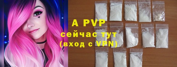 дмт Вяземский