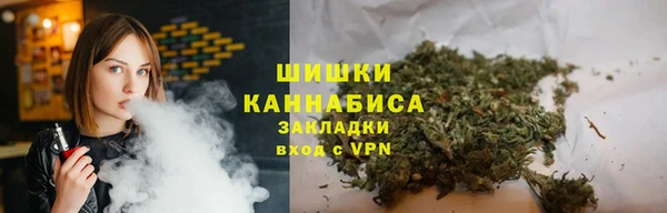 дмт Вяземский