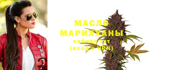 дмт Вяземский