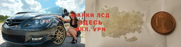 дмт Вяземский
