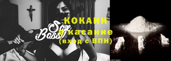 прущие грибы Вязники