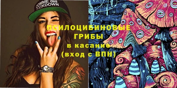 дмт Вяземский