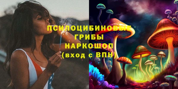 дмт Вяземский