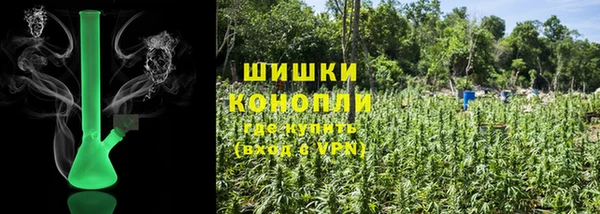 дмт Вяземский