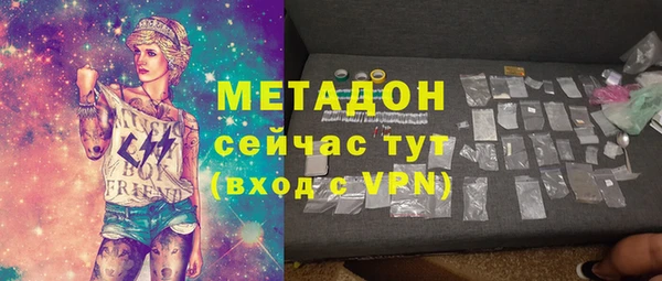прущие грибы Вязники
