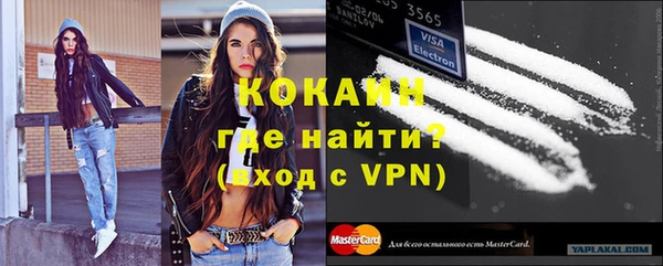 прущие грибы Вязники