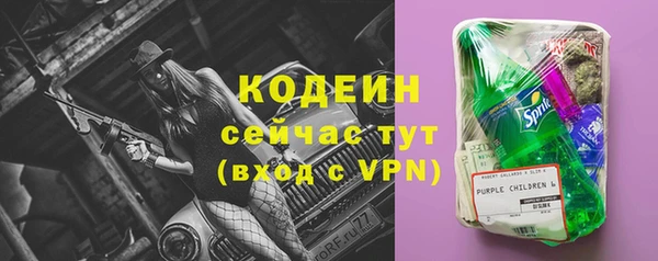 прущие грибы Вязники