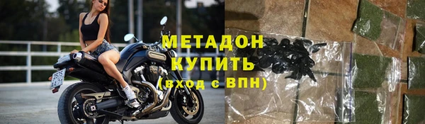 прущие грибы Вязники