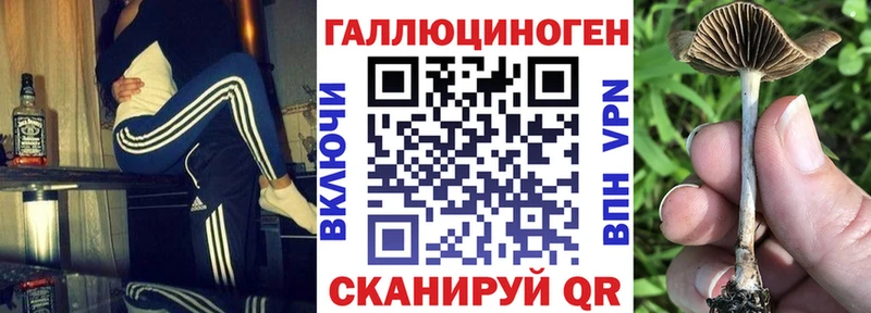 Псилоцибиновые грибы ЛСД  Судогда 